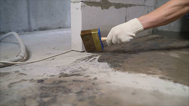 SJ Waterproofing Pros Basement Waterproofing coverage map for Grant, AL and surrounding area